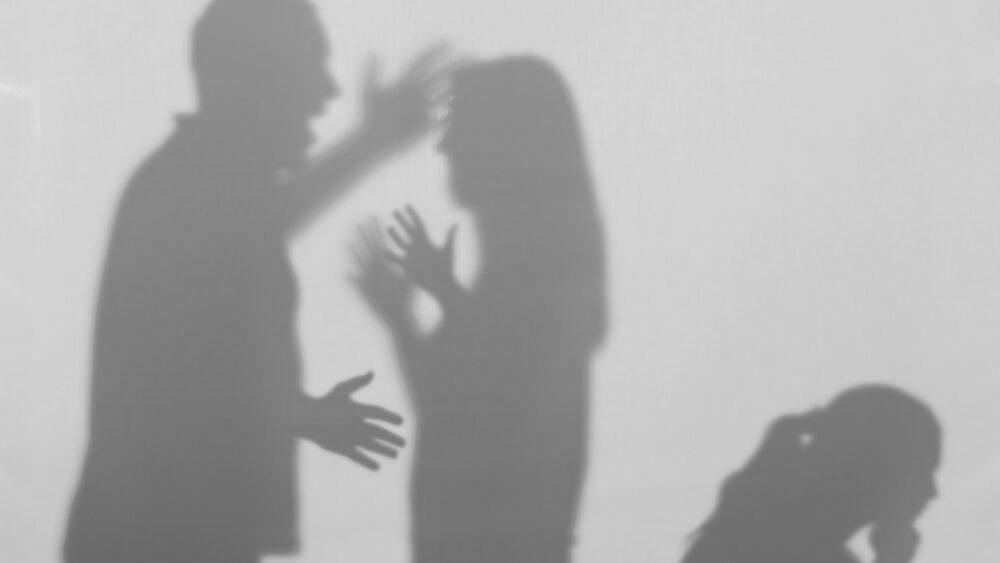 A Little More About Assault Of A Family Member