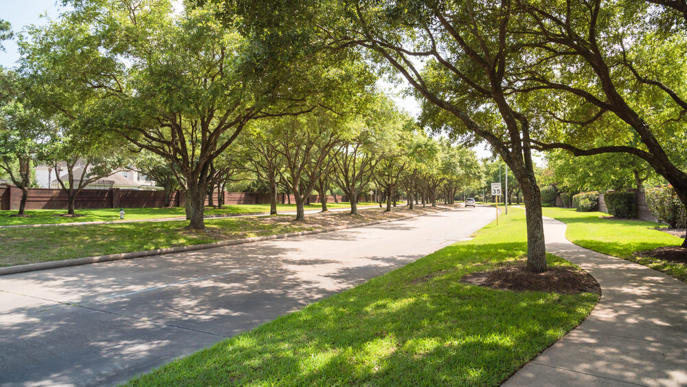 Katy Criminal Defense Lawyer