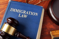 Understanding the New Texas Immigration Law: Insights from Chernoff Law